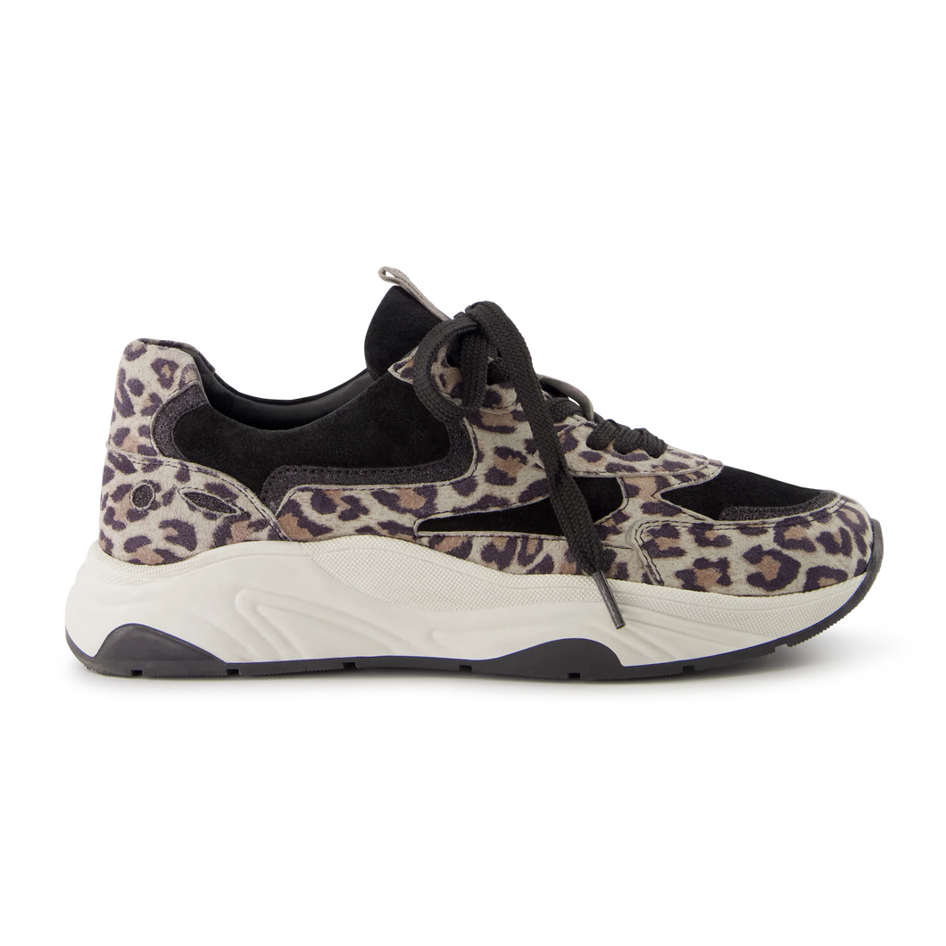 Sneakers - Capri Leopard Black